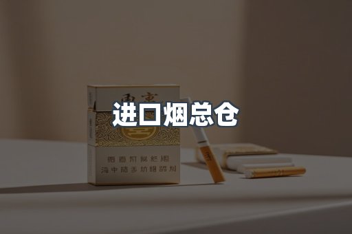 进口烟总仓